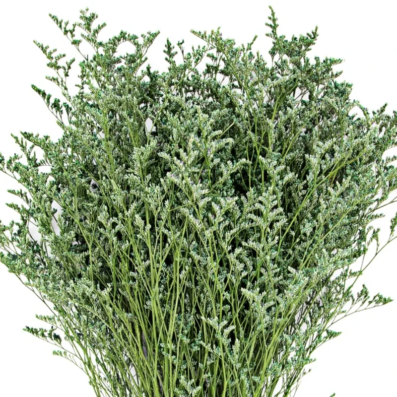 Fillers & Greens