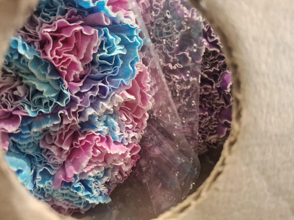 Unexpected Blooms